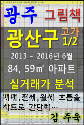 광주 광산구 1/2 고가 84,59㎡ 아파트 매매, 전세, 월세 실거래가 분석 (2013 ~ 2016.6월)