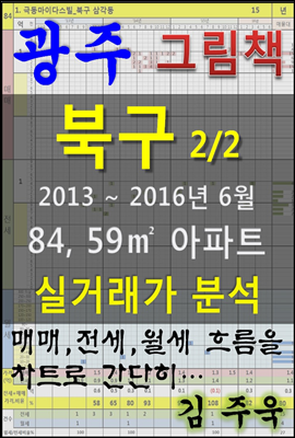 광주 북구 2/2 84,59㎡ 아파트 매매, 전세, 월세 실거래가 분석 (2013 ~ 2016.6월)