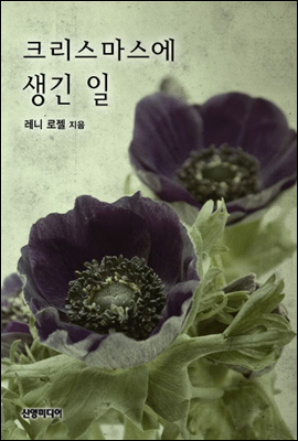 크리스마스에 생긴 일