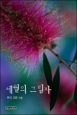 세월의 그림자