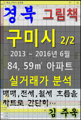 경북 구미시 2/2 84, 59㎡ 아파트 매매, 전세, 월세 실거래가 분석 (2013 ~ 2016.6월)