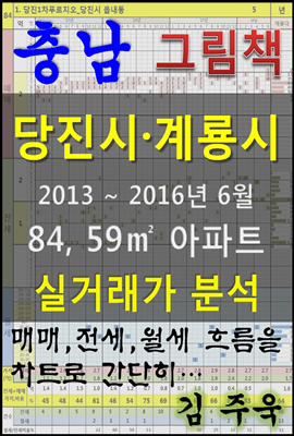 충남 당진시, 계룡시 84, 59㎡ 아파트 매매, 전세, 월세 실거래가 분석 (2013 ~ 2016.6월)