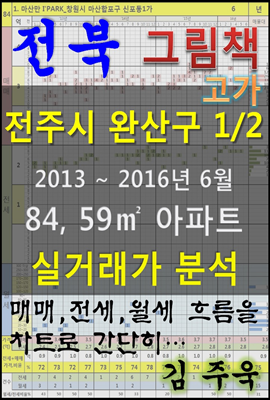 전북 전주시 완산구 1/2 고가 84, 59㎡ 아파트 매매, 전세, 월세 실거래가 분석 (2013 ~ 2016.6월)