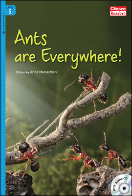 5-26 Ants are Everywhere!
