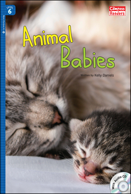 6-20 Animal Babies