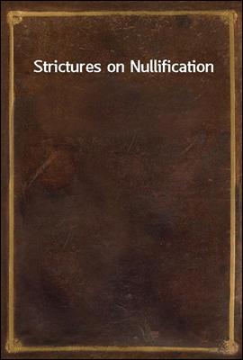 Strictures on Nullification