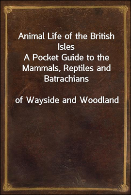 Animal Life of the British Isles
A Pocket Guide to the Mammals, Reptiles and Batrachians
of Wayside and Woodland