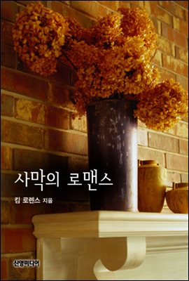 사막의 로맨스