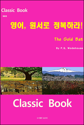 영어 원서로 정복하라  The Gold Bat