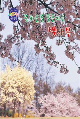 봄하늘을 물들이는 벚나무 - 창의력을 키워주는 과학탐구원리 자연관찰 06