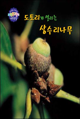 도토리가 열리는 상수리나무 - 창의력을 키워주는 과학탐구원리 자연관찰 09