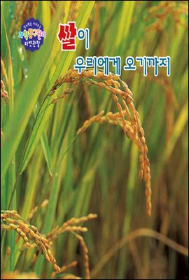 쌀이 우리에게 오기까지 - 창의력을 키워주는 과학탐구원리 자연관찰 11