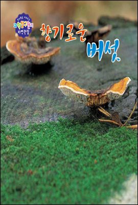 창의력을 키워주는 과학탐구원리 자연관찰 14 향기로운 버섯 
