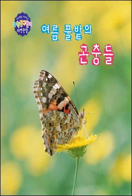 여름 풀밭의 곤충들 - 창의력을 키워주는 과학탐구원리 자연관찰 25