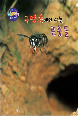 구멍속에서 사는 곤충들 - 창의력을 키워주는 과학탐구원리 자연관찰 32