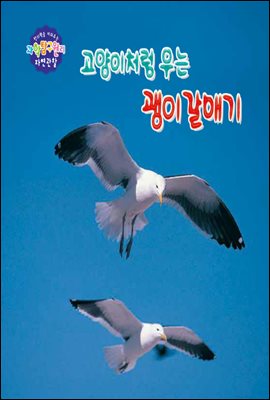 고양이처럼 우는 괭이갈매기 - 창의력을 키워주는 과학탐구원리 자연관찰 39