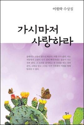 가시마저 사랑하라