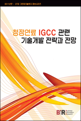 청정연료 IGCC관련 기술개발 전략과 전망