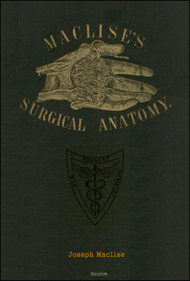 Surgical Anatomy (수술해부학)