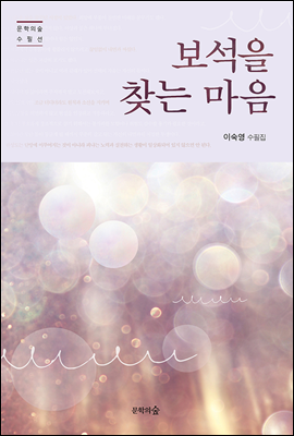 보석을 찾는 마음 - 문학의숲 수필선