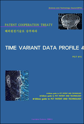 해외원천기술로 승부하라 TIME VARIANT DATA PROFILE 4