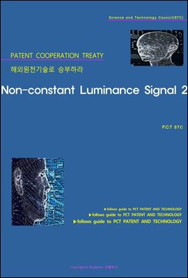 해외원천기술로 승부하라 Non-constant Luminance Signal 2