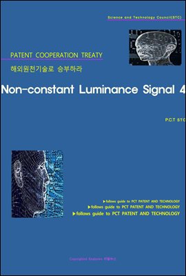 해외원천기술로 승부하라 Non-constant Luminance Signal 4