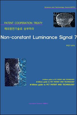 해외원천기술로 승부하라 Non-constant Luminance Signal 7