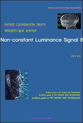 해외원천기술로 승부하라 Non-constant Luminance Signal 8