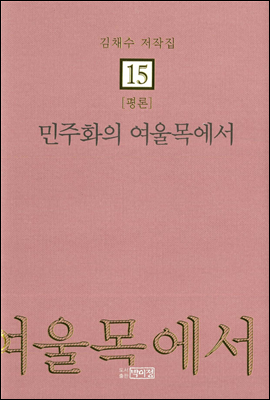 김채수저작집15. [평론] 민주화의 여울목에서