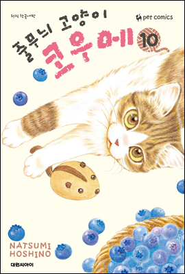 줄무늬 고양이 코우메 10권