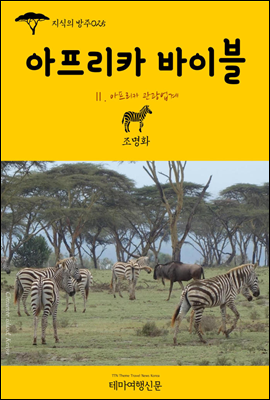 지식의 방주 025 아프리카 바이블 Ⅱ. 아프리카 관광업계