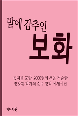 밭에 감추인 보화 : 장창훈의 신앙 에세이