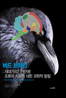 버드 브레인