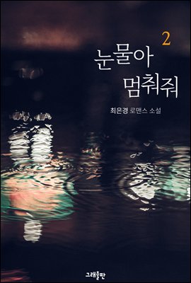 눈물아 멈춰줘 2권 (완결)