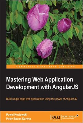 Mastering Web Application,Development with AngularJS