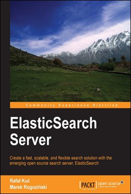 ElasticSearch Server