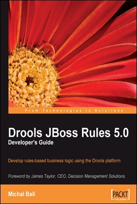 Drools JBoss Rules 5.0 Developer&#39;s Guide