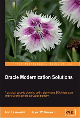 Oracle Modernization Solutions