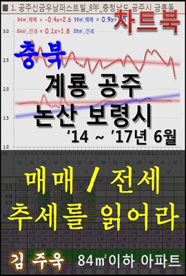 충남 계룡 공주 논산 보령시 아파트, 매매/전세 추세를 읽어라