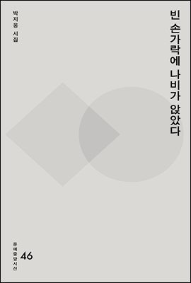 빈 손가락에 나비가 앉았다 - 문예중앙시선 46