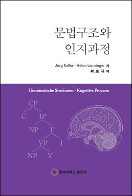 문법구조와 인지과정