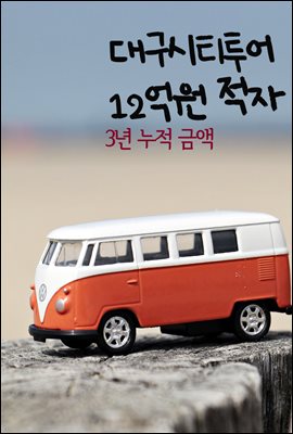 대구시티투어, 12억원 적자 : 3년