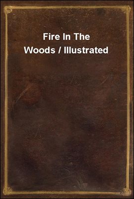 Fire In The Woods / Illustrated