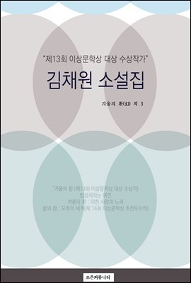 김채원 소설집