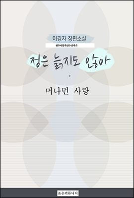 이경자 장편소설