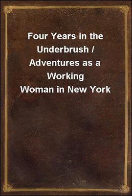 Four Years in the Underbrush / Adventures as a Working Woman in New York