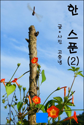 한스푼 2