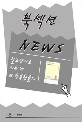 [북섹션] 길고양이로 사는 게 더 행복했을까