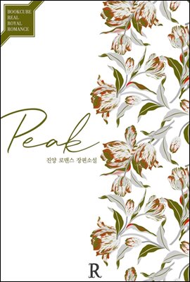 피크 (Peak)